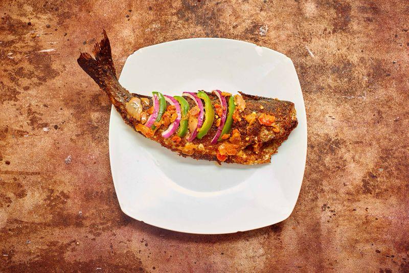 Fish